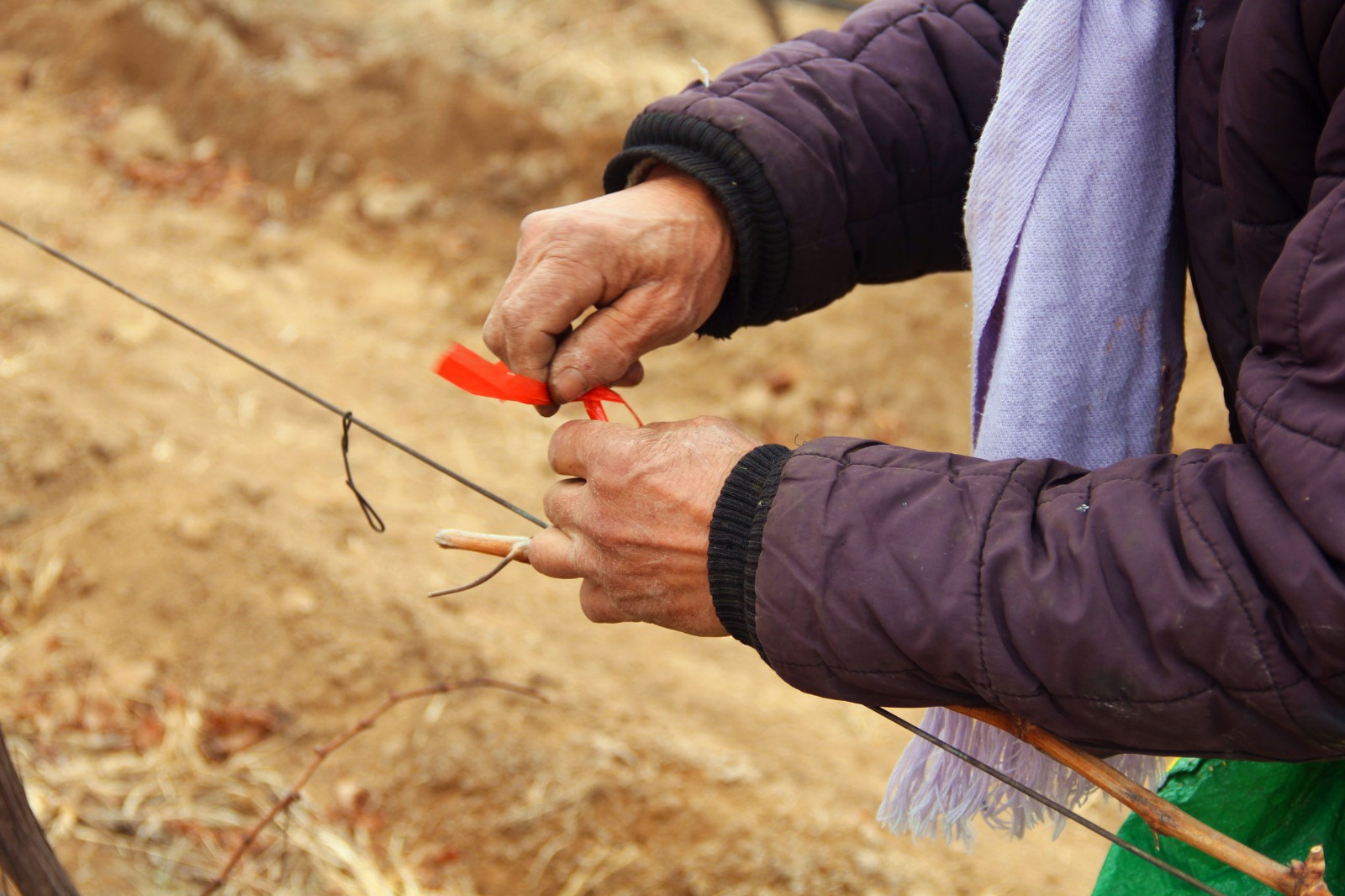 15518395999201.jpg 4.jpg