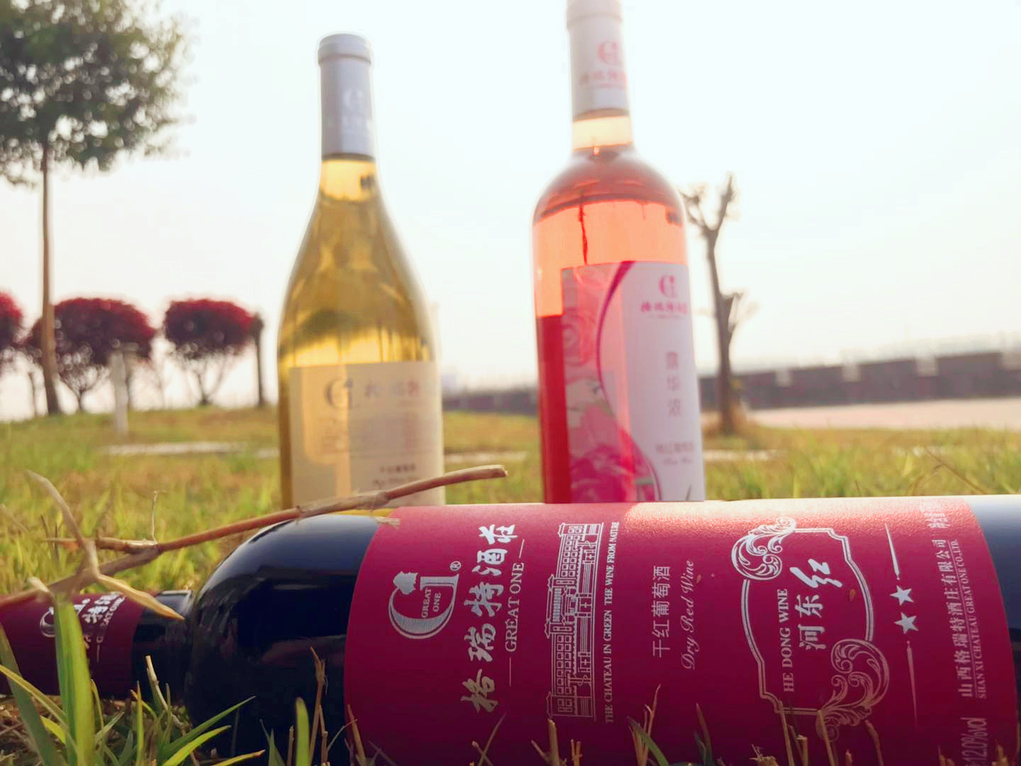 春天從(cóng)這裡(lǐ)走來(lái)