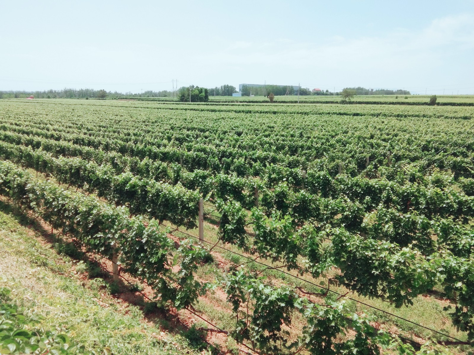 15710211175674.jpg 微信圖片_20190705143635.jpg