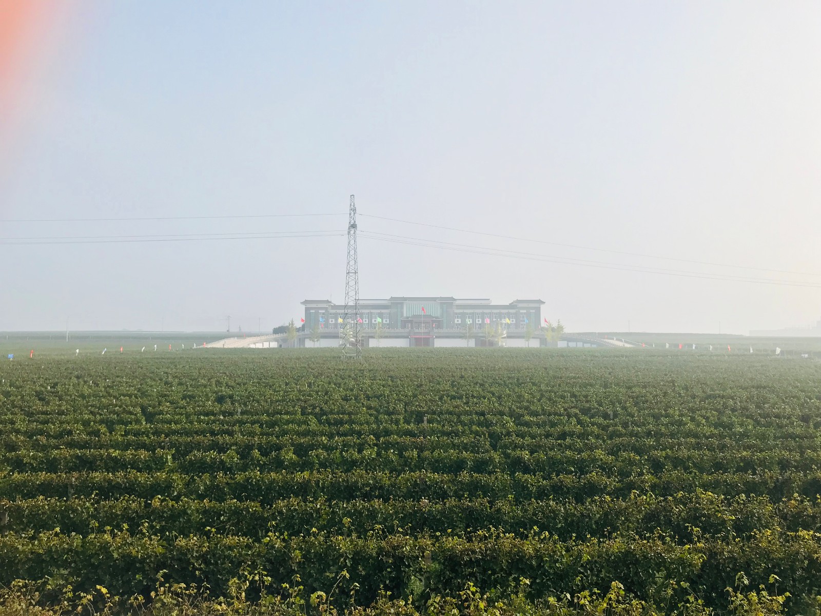 15710398106250.jpg 微信圖片_20191008092050.jpg