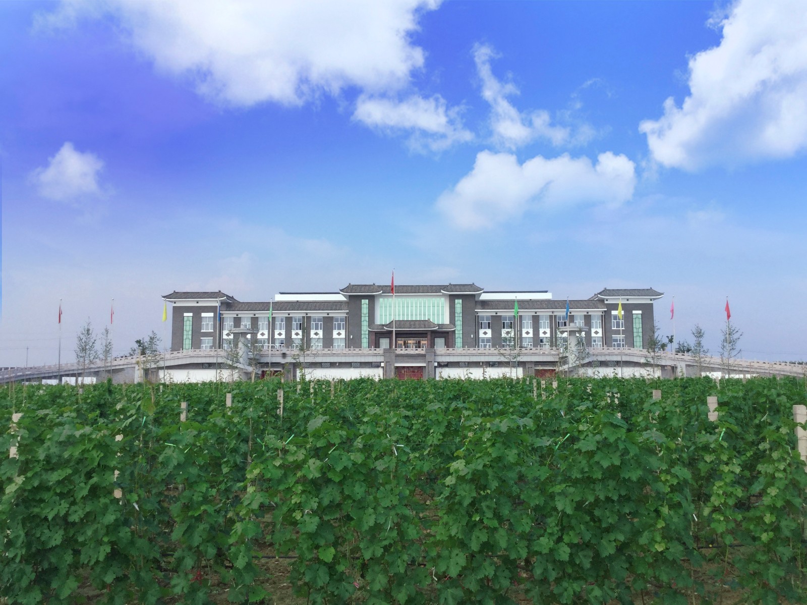 15711899625736.jpg 1.jpg