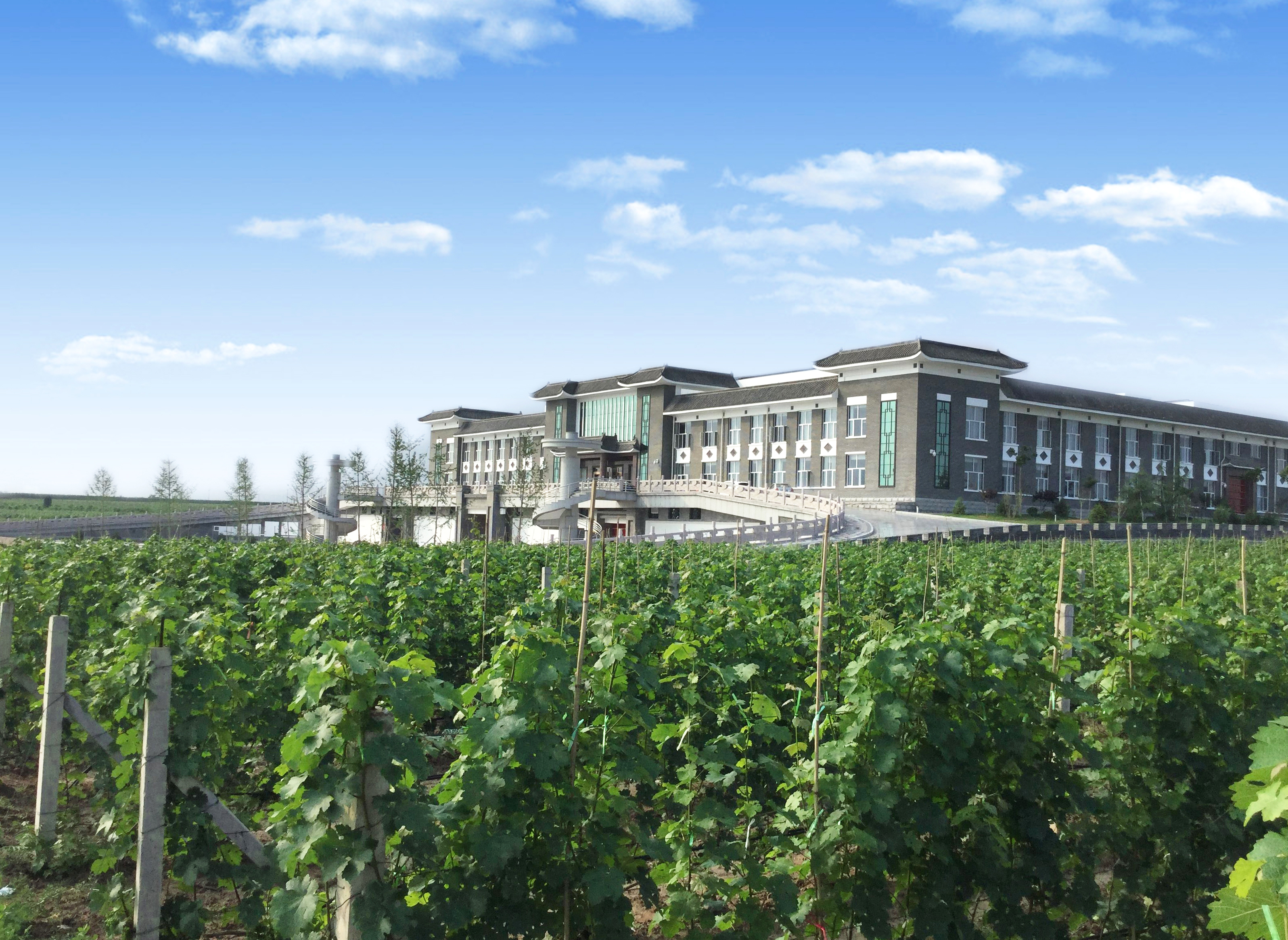 處暑至，園區最新動态速遞