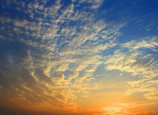 15712835815312.jpg 微信圖片_20190717145747.jpg