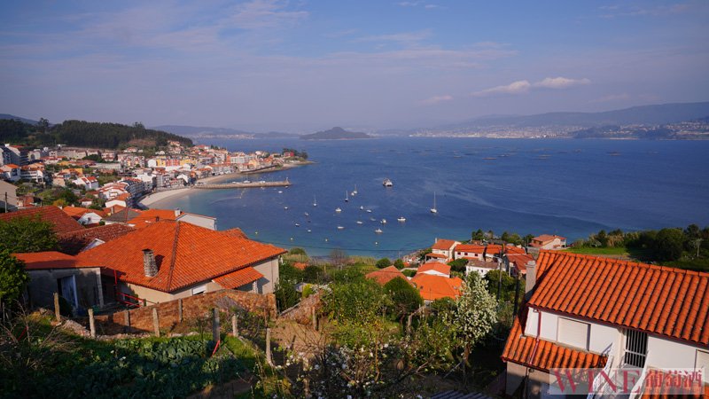 15712841083687.jpg 248-1Z61F9502c31.JPG