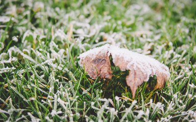 霜降｜ 秋将逝，冬将至