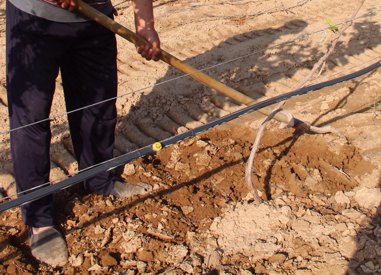 15857234345684.jpg IMG_6338_副本.jpg