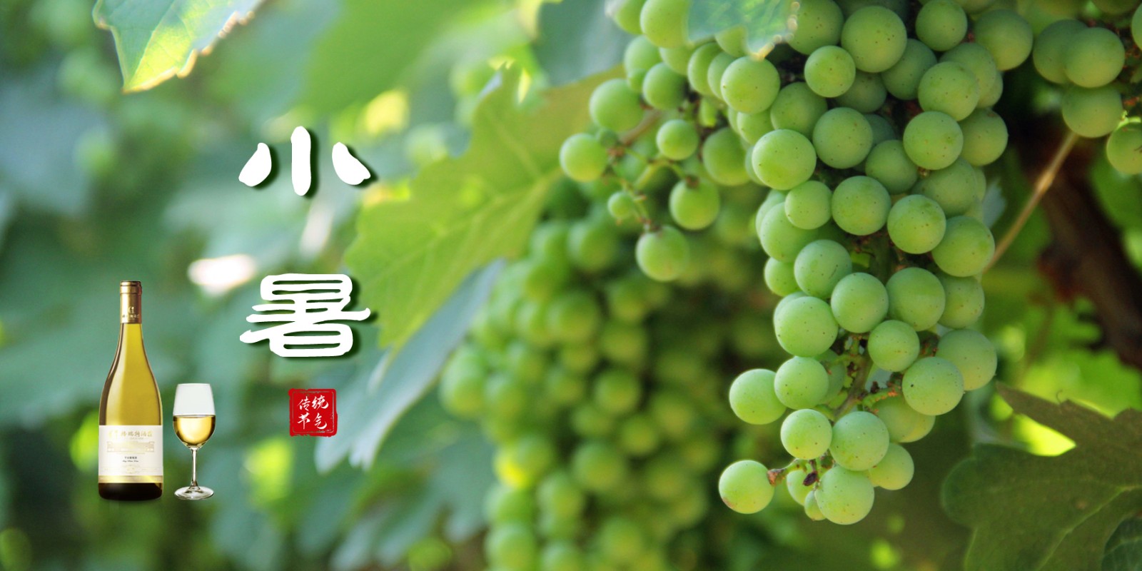 15939357747480.jpg 小暑.JPG