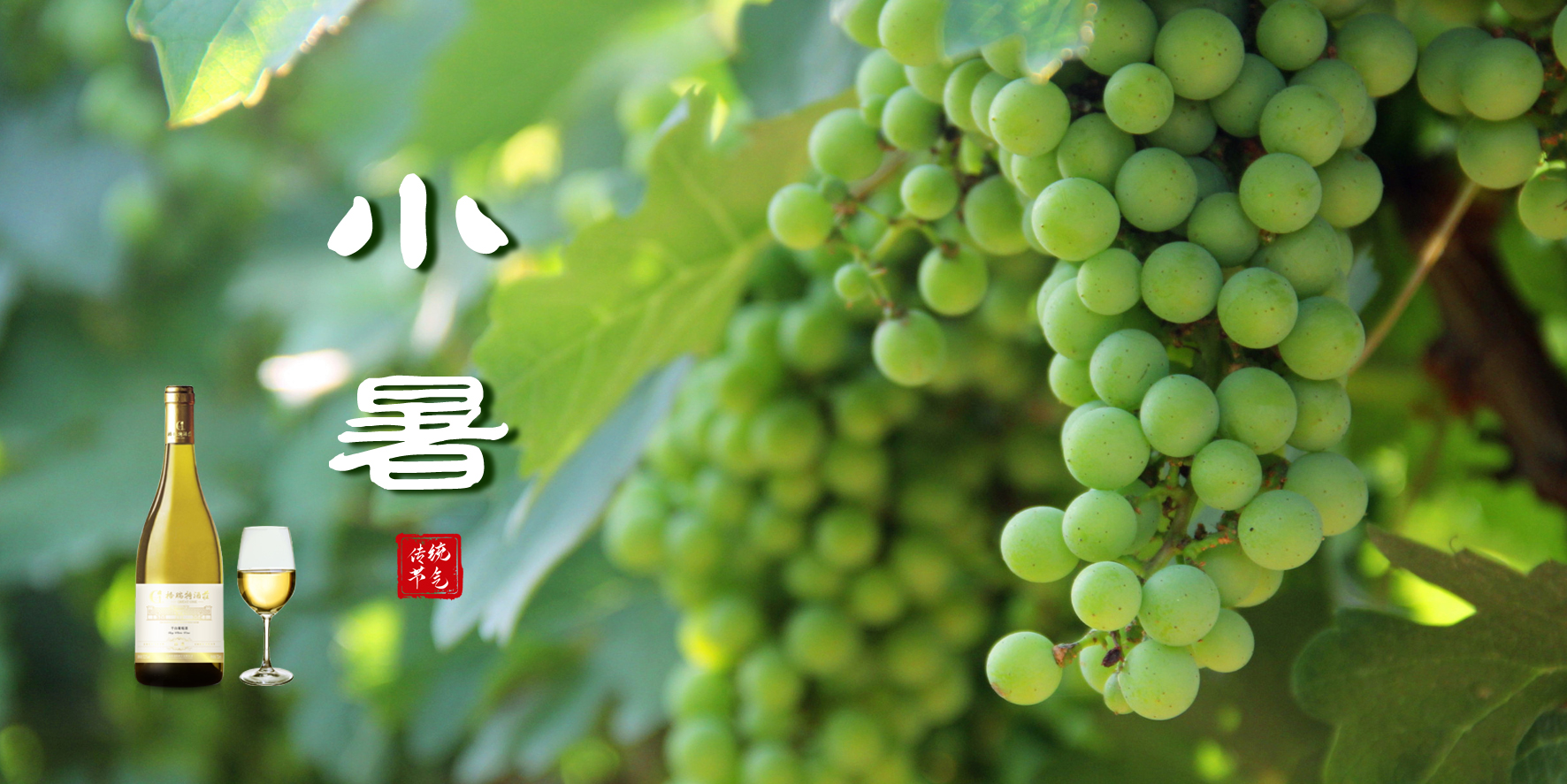 小暑，消暑，你(nǐ)選哪一個？