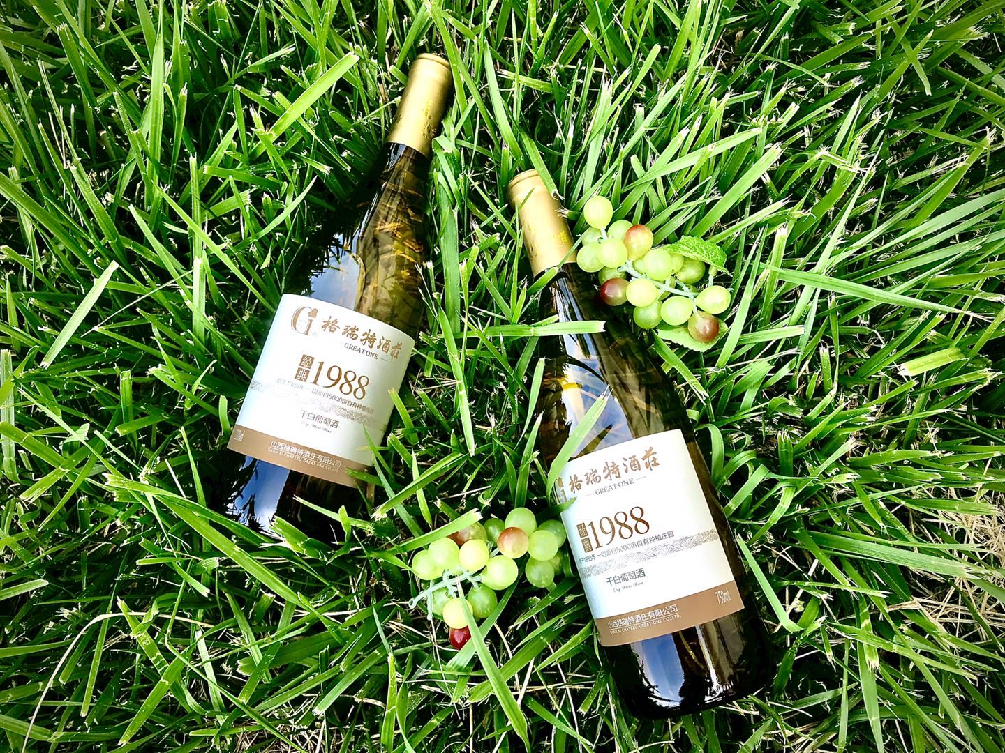 探尋格瑞特酒莊◎解鎖百分(fēn)百酒莊酒