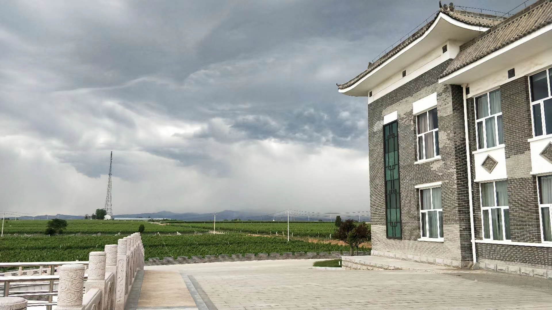 風(fēng)雨(yǔ)相(xiàng)伴◎前路(lù)繁花似錦