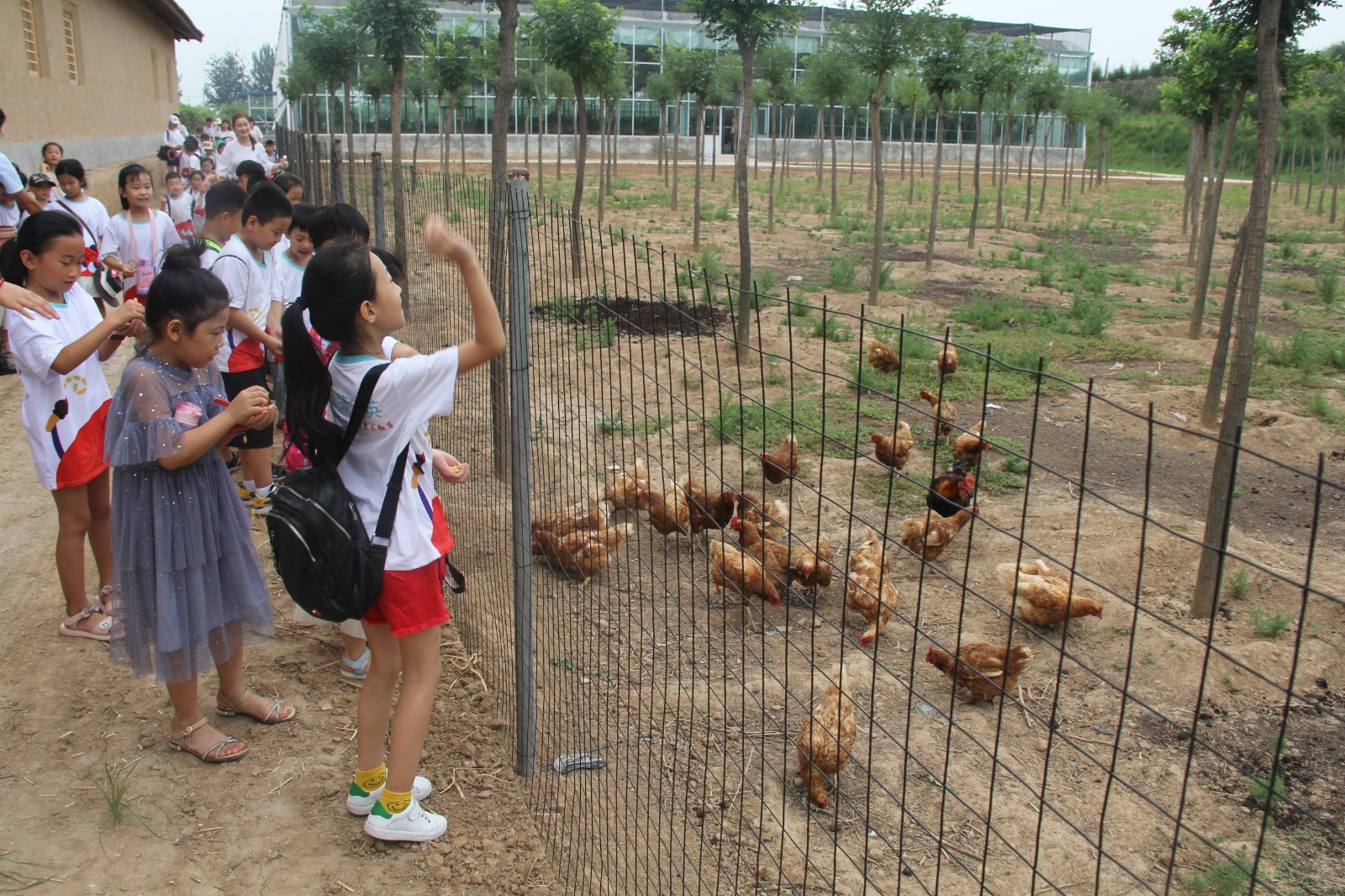 16003323141059.jpg IMG_5397.JPG