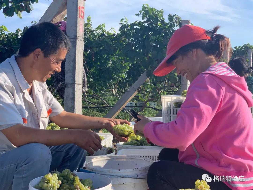 16006591656512.jpg 3.jpg