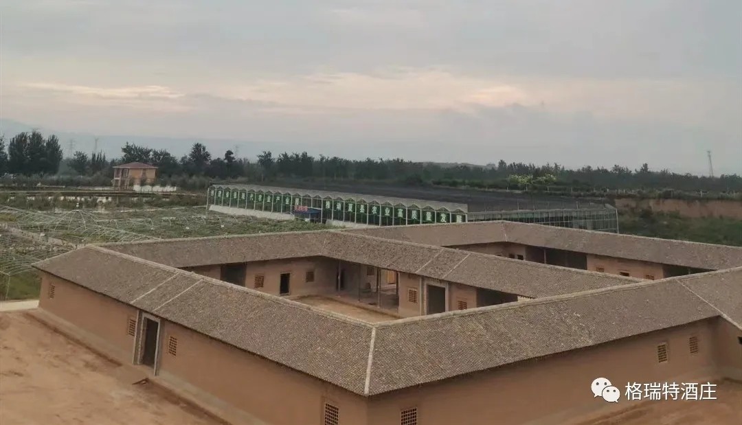 16039560973635.jpg 640.webp.jpg