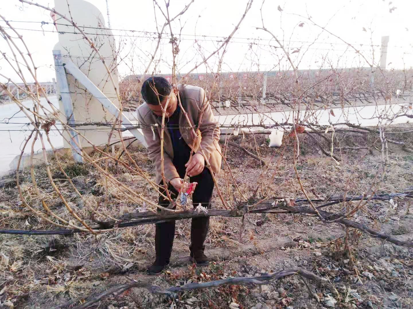 16179358319921.jpg 微信圖片_20210223082210_副本.jpg