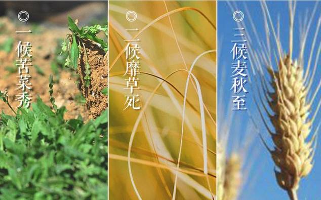 16219342283682.jpg 2a7acfae33cc44048fa5054c4526a998_th.jpg