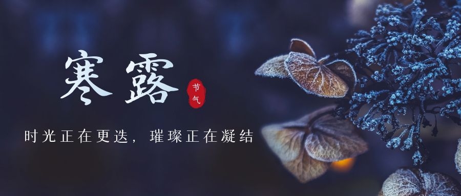 寒露 ▎時光(guāng)更叠，璀璨正在凝結~