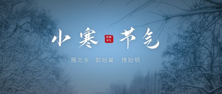 小寒 ▎寒冬過後迎萬象生(shēng)機(jī)~