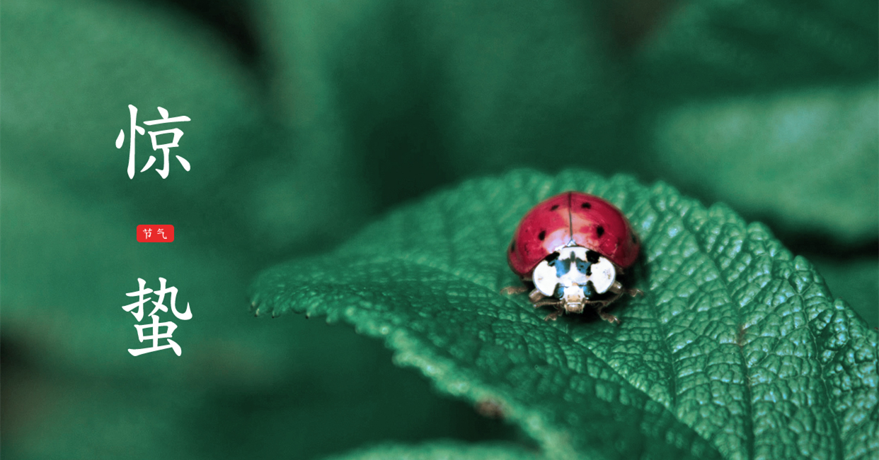 驚蟄 ▎驚蟄始，萬物舒，與你(nǐ)聽風(fēng)望春來(lái)