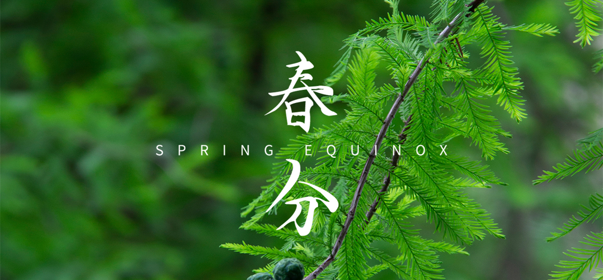春分(fēn) ▎不負春光(guāng)，萬物生(shēng)長