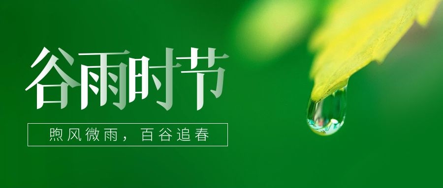 谷雨(yǔ) ▎雨(yǔ)生(shēng)百谷，鎖住一抹春色