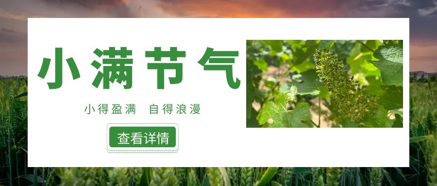 小滿 ▎小得(de)盈滿，自(zì)得(de)浪漫~