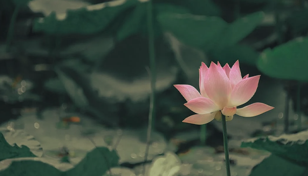 16585389719660.png 640.png