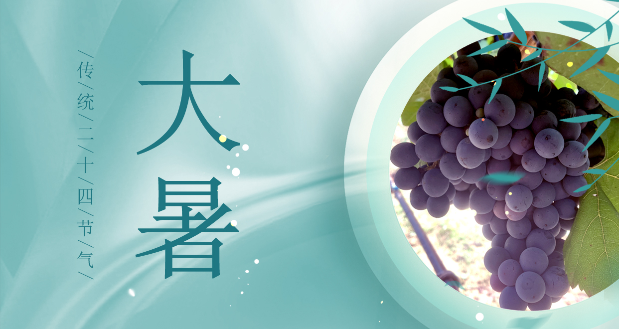 大(dà)暑 ▎時夏三伏盛，葡萄綴滿天