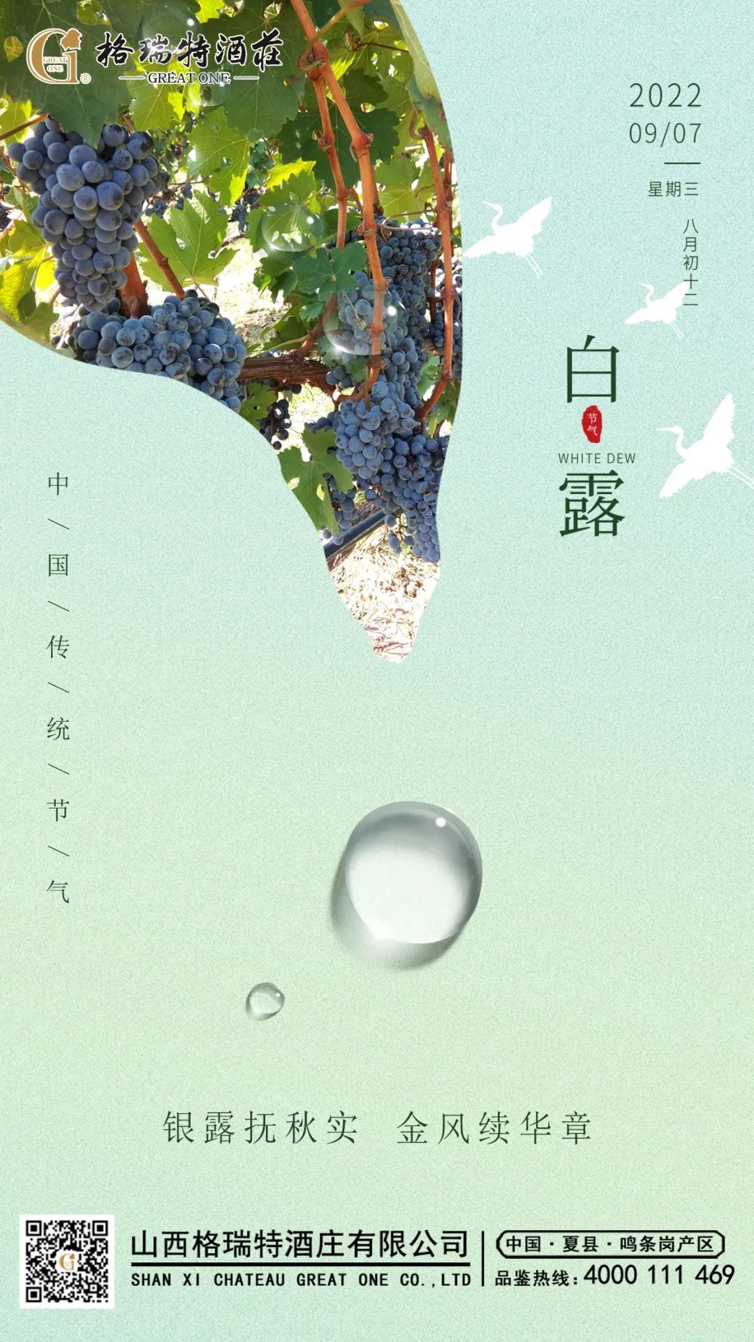 16628796684737.jpg 640.jpg