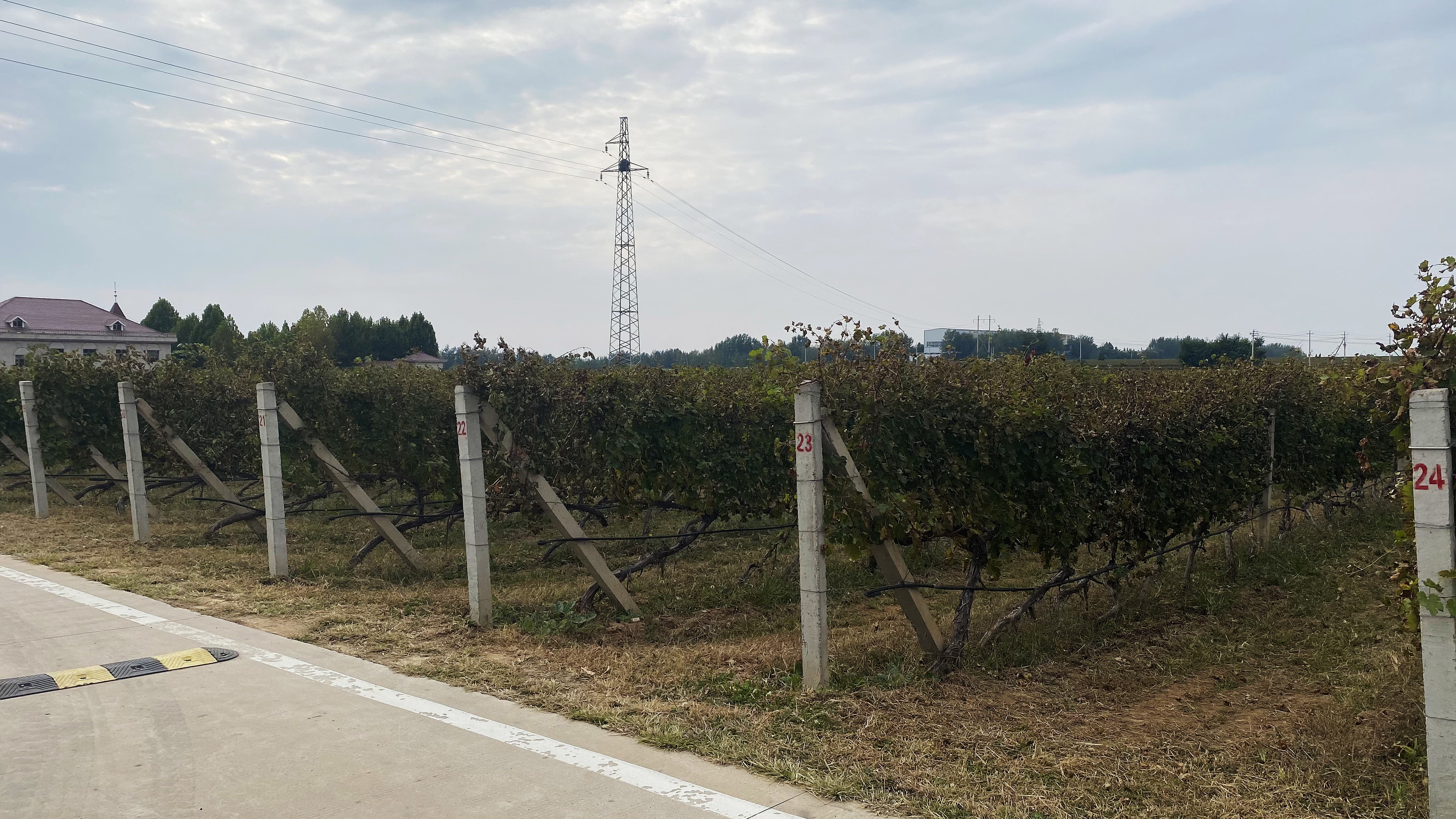 霜降 ▎秋暮露成霜，酒香酣時光(guāng)