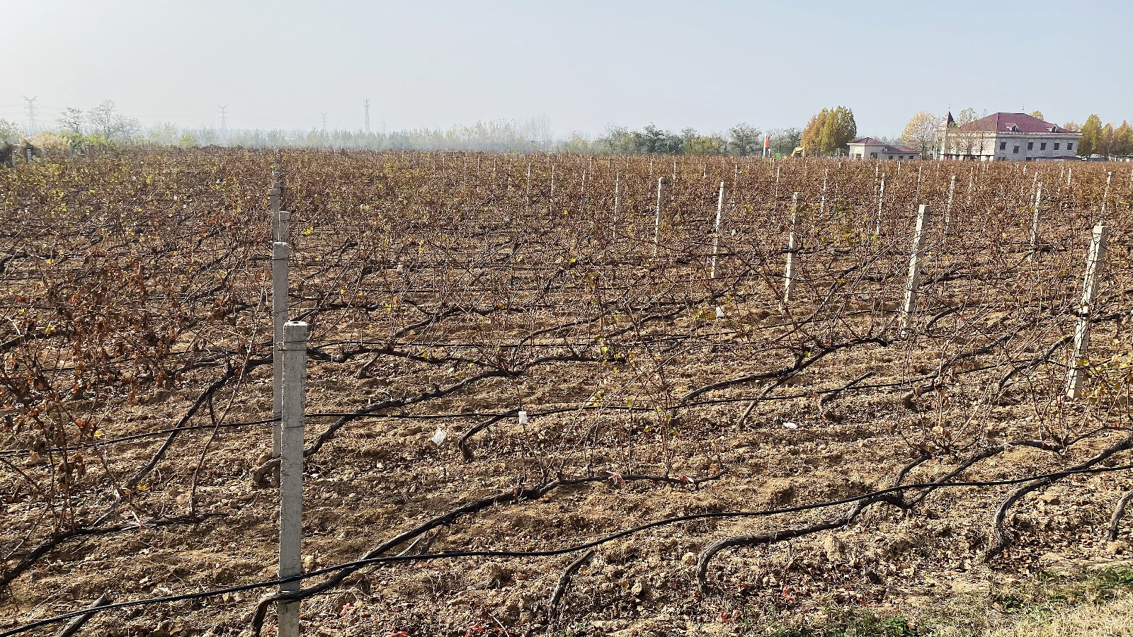 16690980255101.jpg b9327d2046eca8cbb47ff109d57cf34.jpg