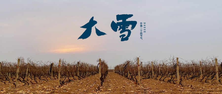 大(dà)雪 ▎世界留白(bái)，天地靜(jìng)美