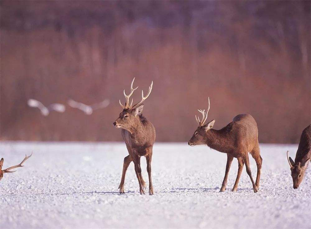 16716747132014.jpeg 5fe85a2195ef3a8beca356a9162f73a0.jpeg