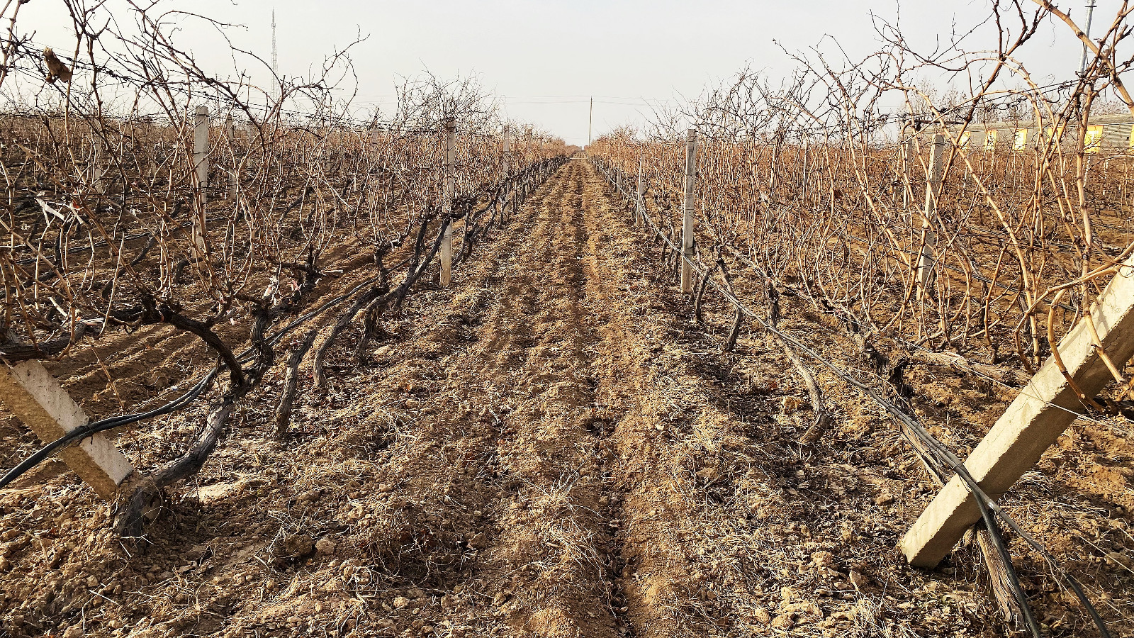 16716747318178.jpg 微信圖片_20221220171429.jpg