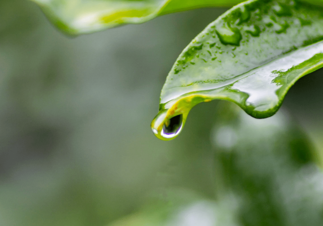 16767949427962.png 071606e22904ef1988269ce2dc1c3dce.png