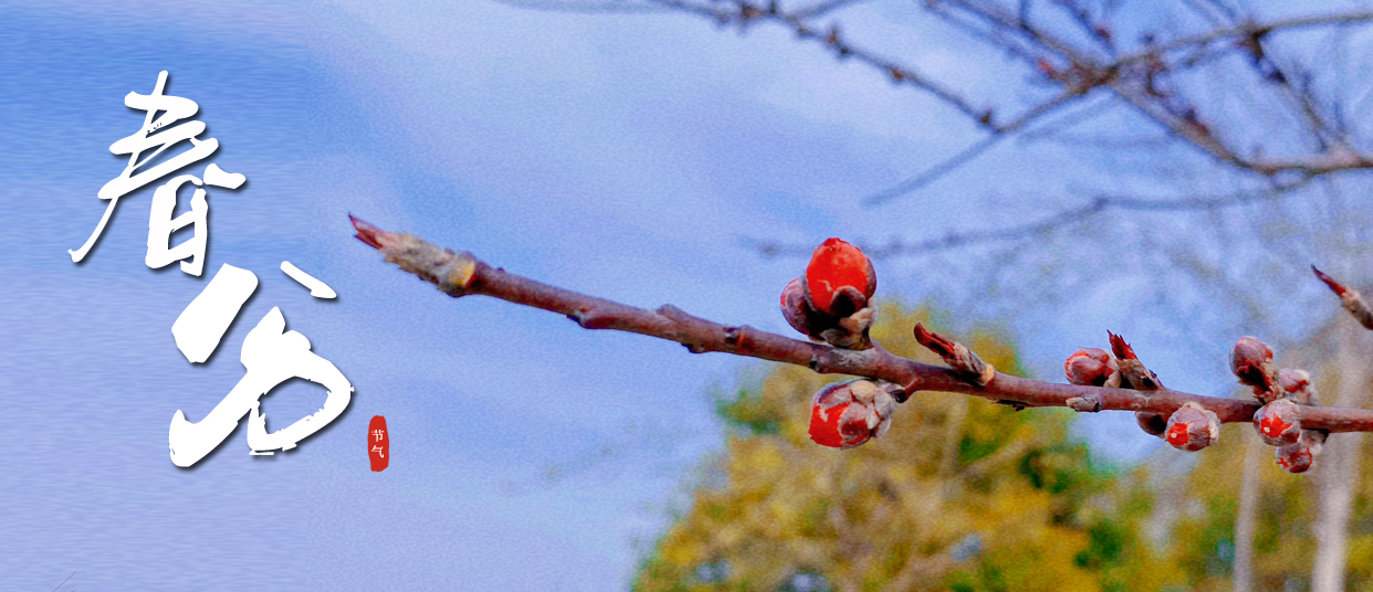 春分(fēn) ▎春光(guāng)滿園，蓬勃生(shēng)長