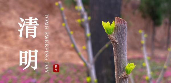 清明 ▎新風(fēng)潤雨(yǔ)，萬物皆顯