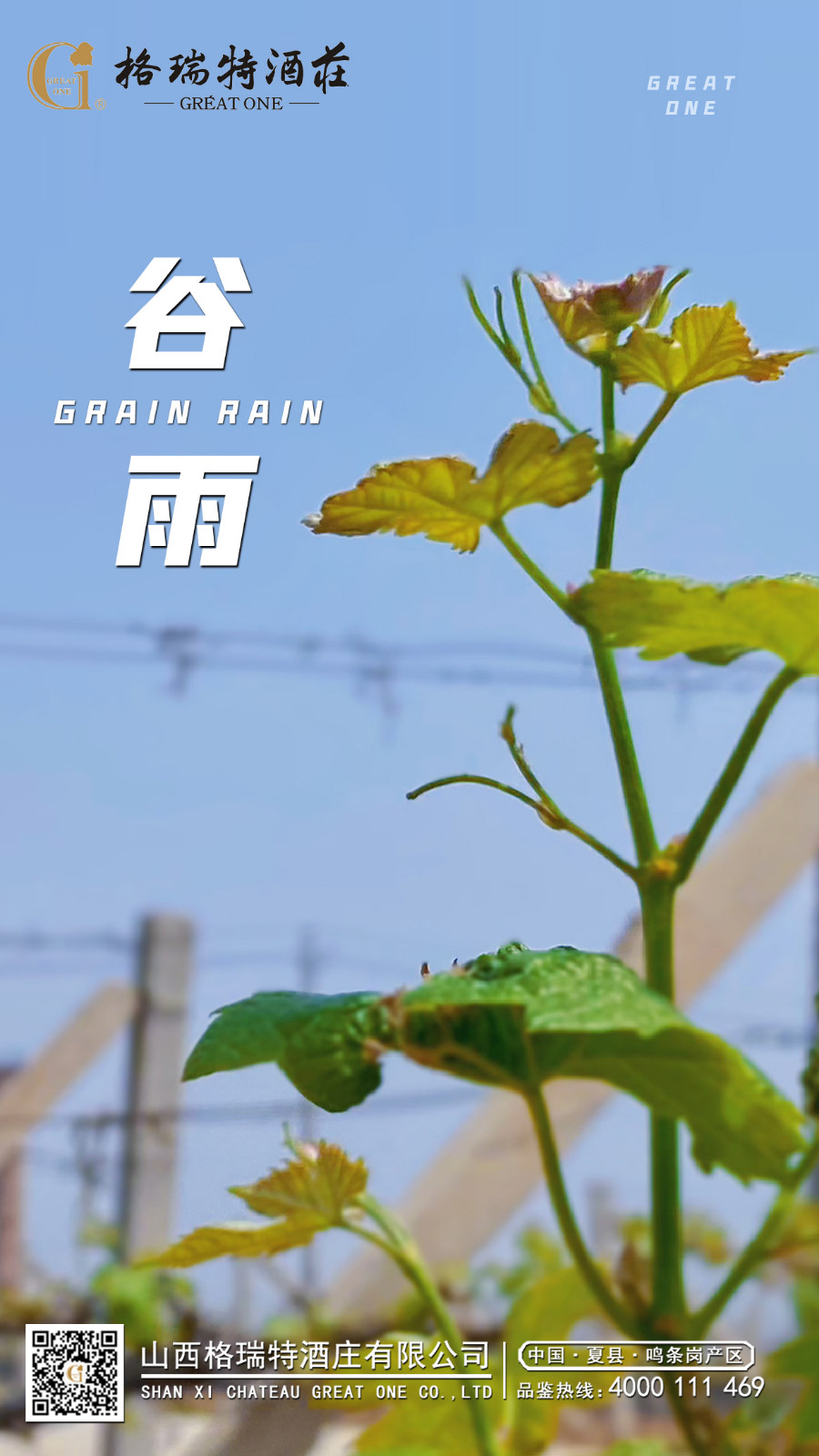 16821249509080.jpg 谷雨(yǔ).JPG