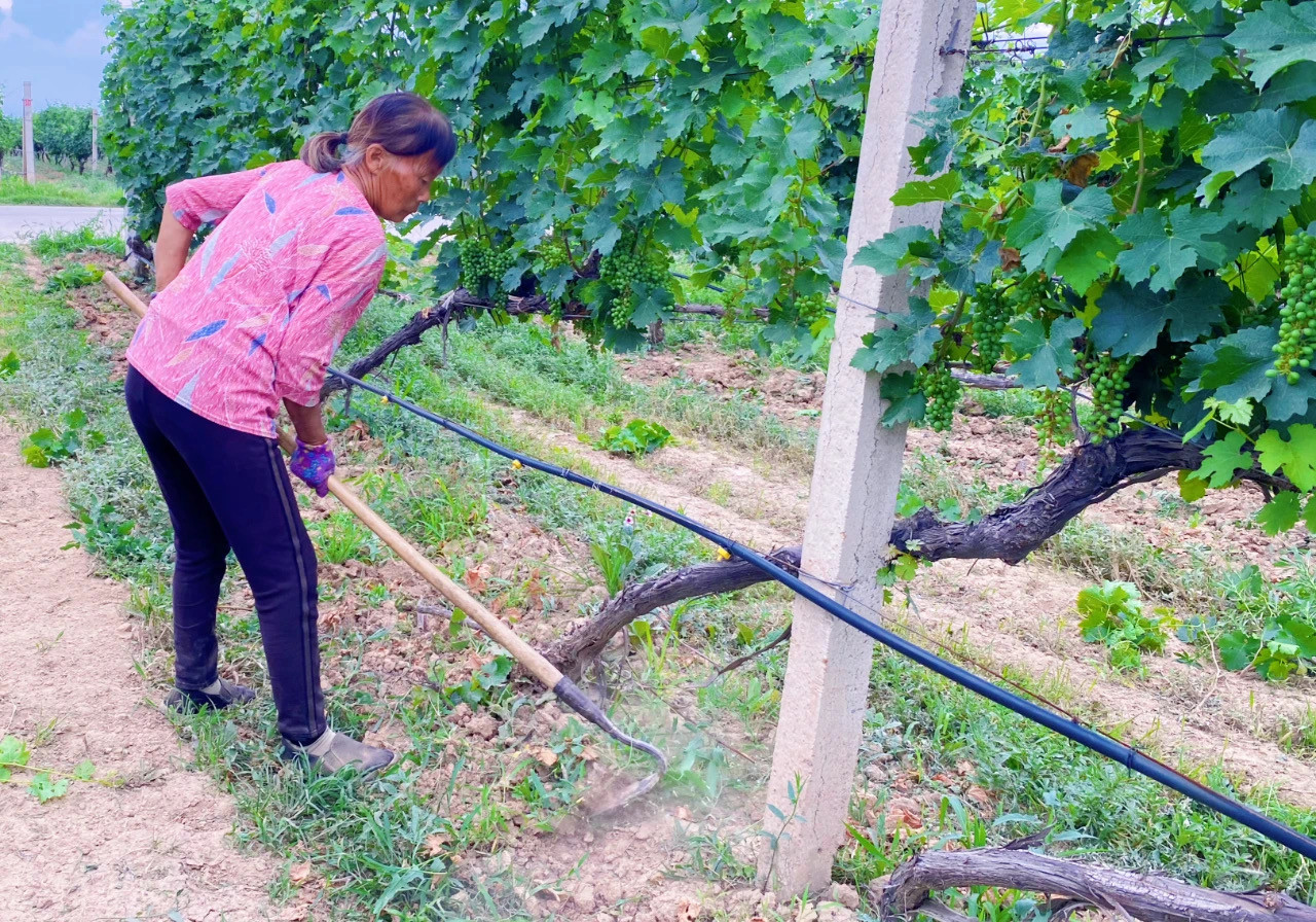 16905368126531.jpg 微信圖片_20230728173250.jpg