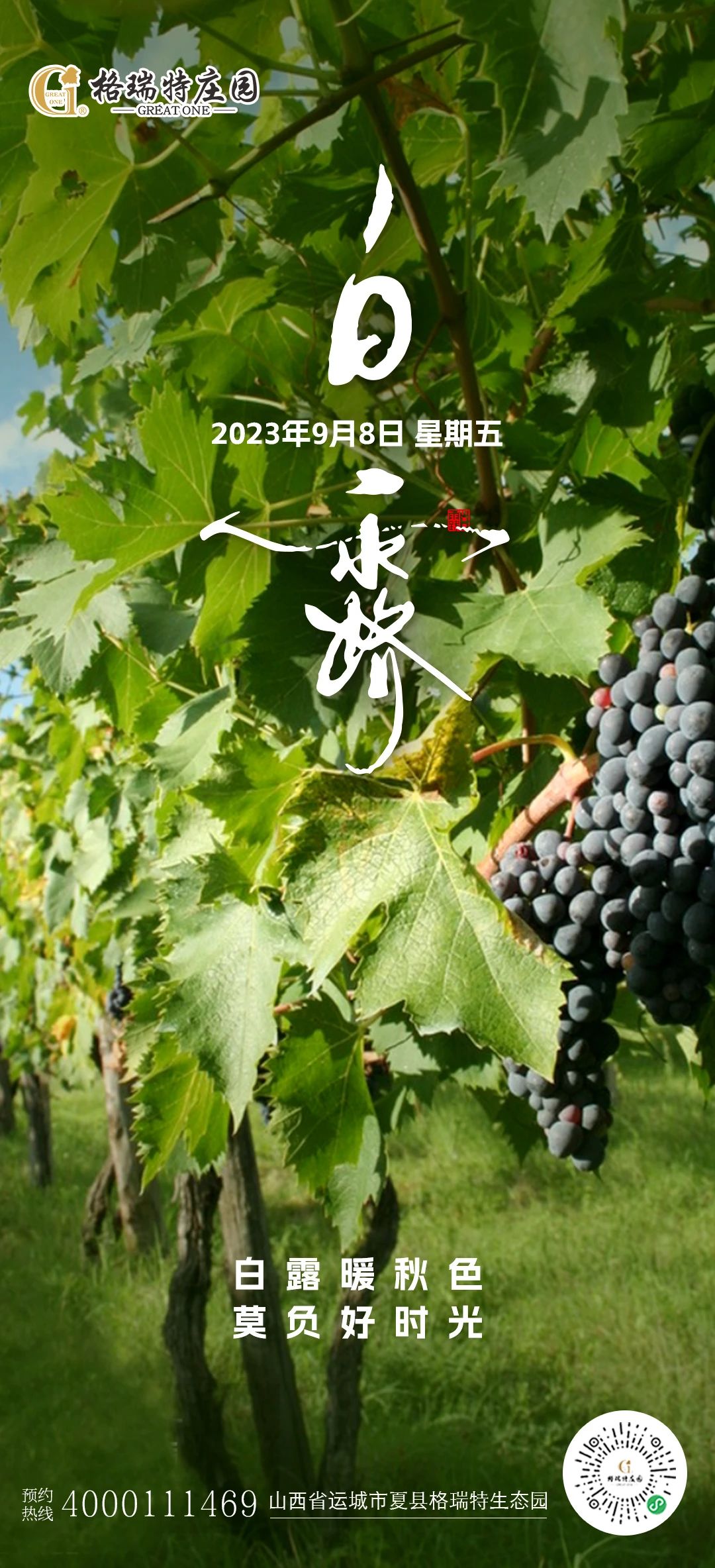 17113530896435.jpg 85a21953fe04f1d6042693767a15433d.jpg