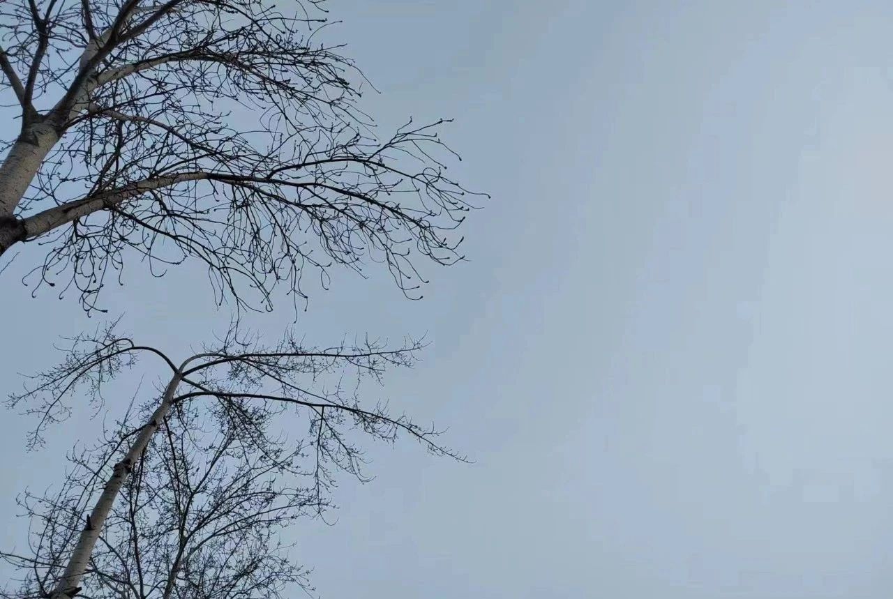 17114236765047.jpg fc68c4f32048d7fa0bb7a12bb7cc46ea.jpg